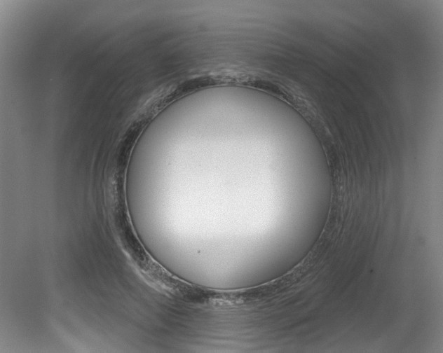 X0000079330690200611170957