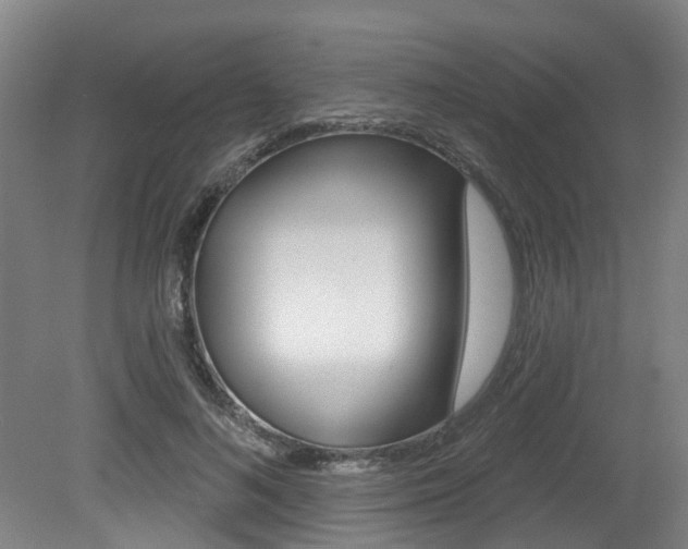 X0000079330692200611170956