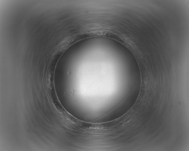 X0000079330693200611170956
