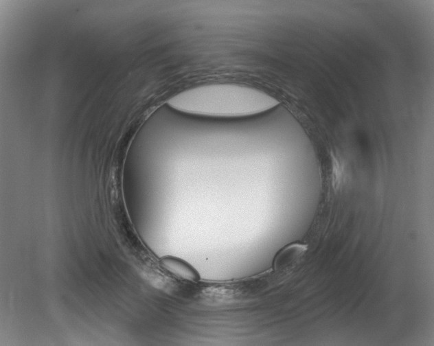 X0000079330699200611170956