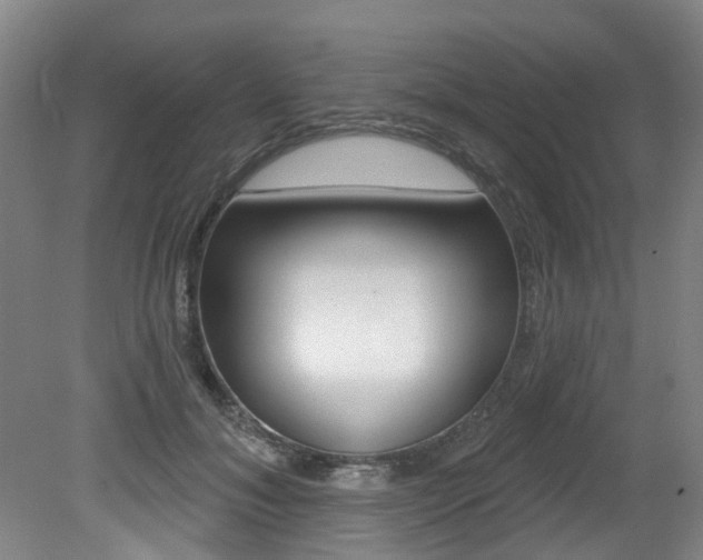 X0000079330700200611170956