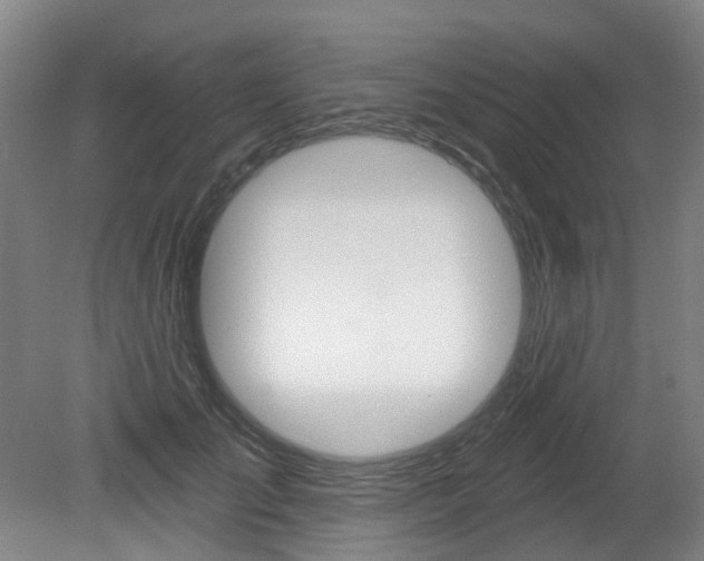 X0000079330701200611170956