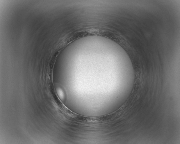 X0000079330702200611170956