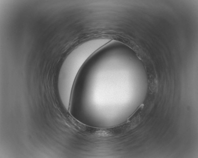 X0000079330704200611170956