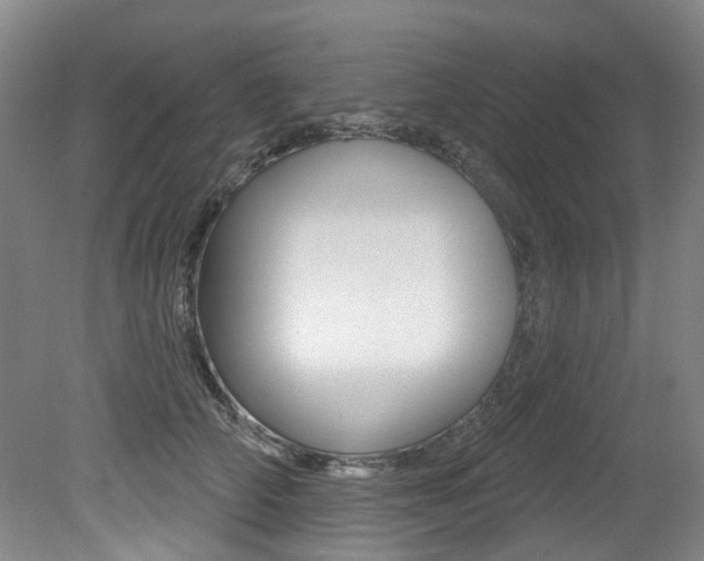 X0000079330706200611170956