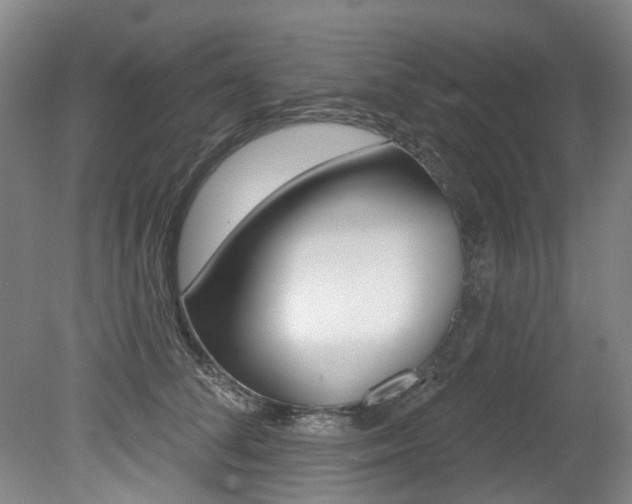 X0000079330708200611170956