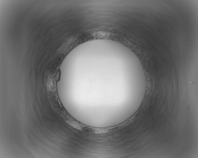X0000079330709200611170956