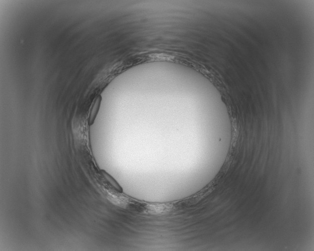 X0000079330713200611170956