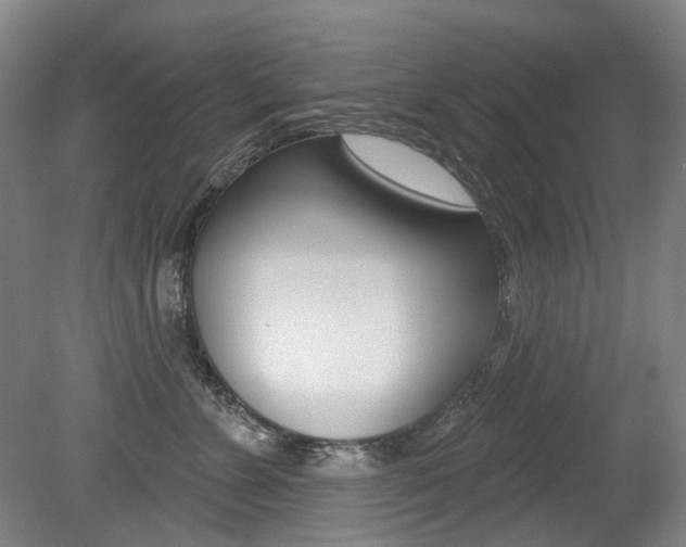 X0000079330715200611170956