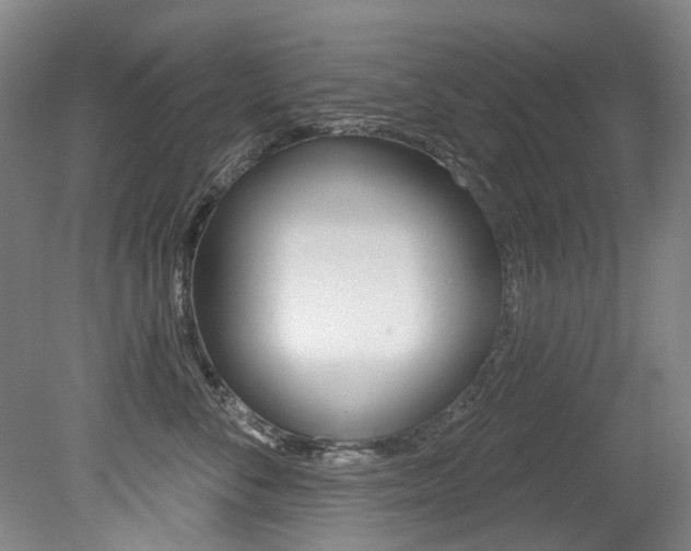 X0000079330716200611170956