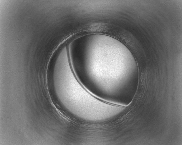 X0000079330722200611170955