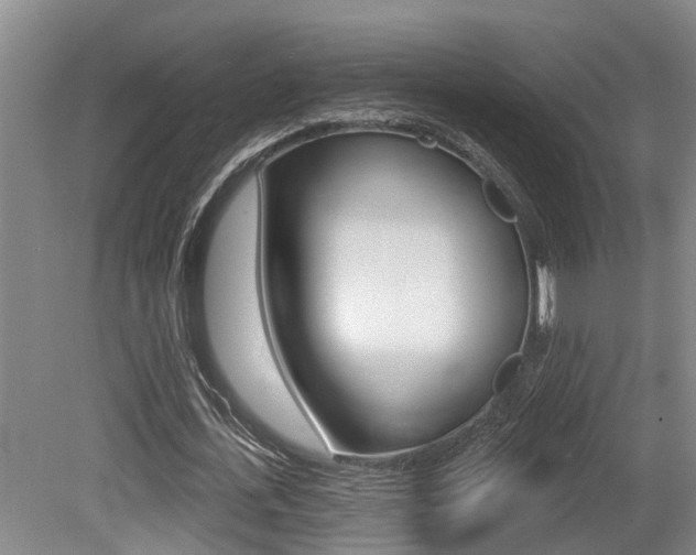 X0000079330723200611170955