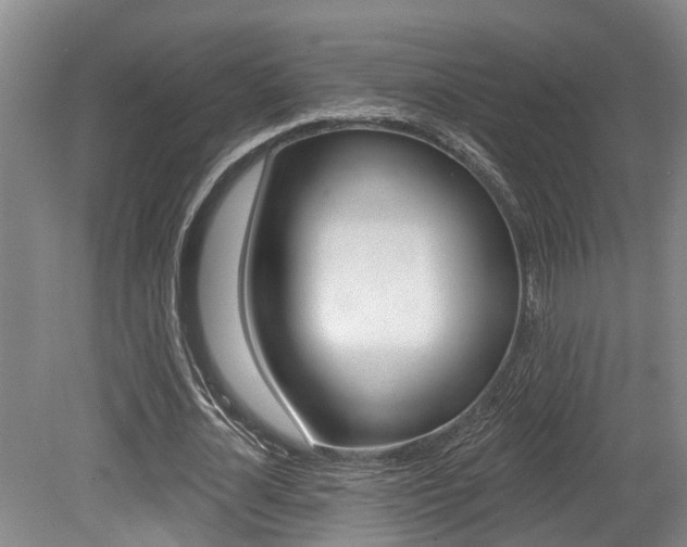 X0000079330724200611170955