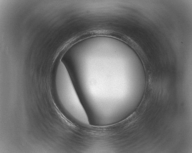 X0000079330725200611170955
