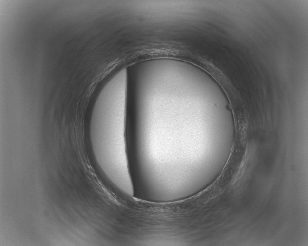 X0000079330729200611170955