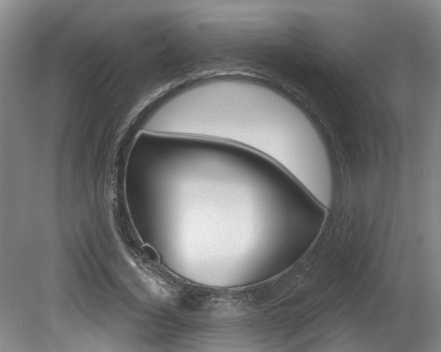 X0000079330732200611170955