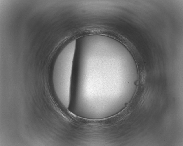 X0000079330733200611170955