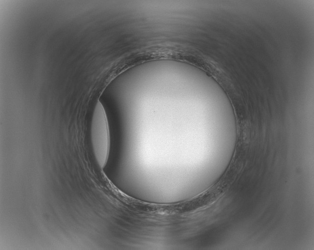 X0000079330737200611170955