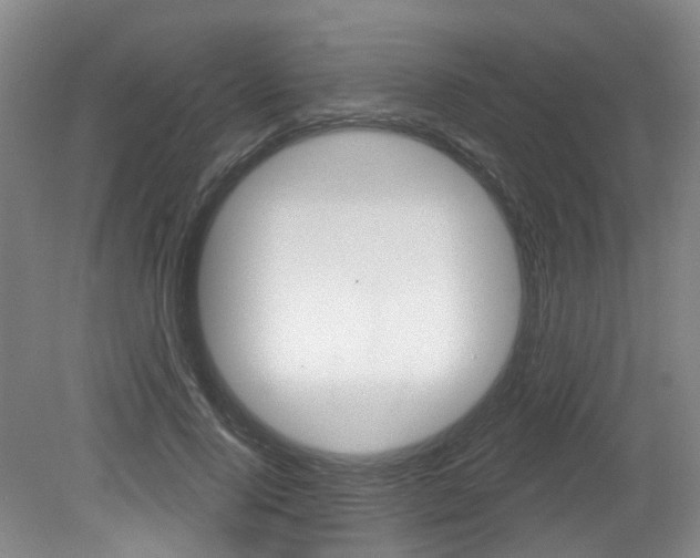X0000079330740200611170956