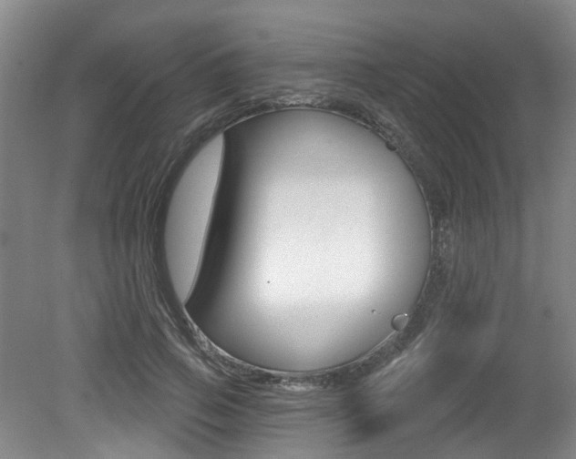 X0000079330741200611170956