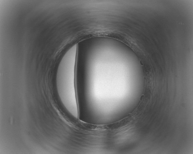 X0000079330742200611170956