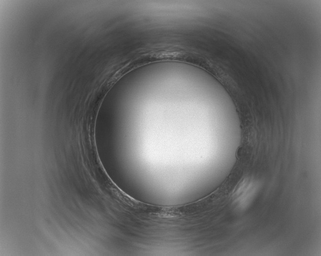 X0000079330743200611170956