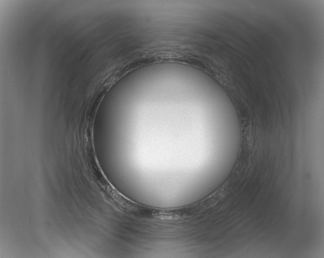 X0000079330746200611170956