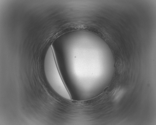 X0000079330747200611170956