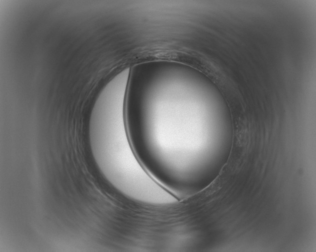 X0000079330748200611170956
