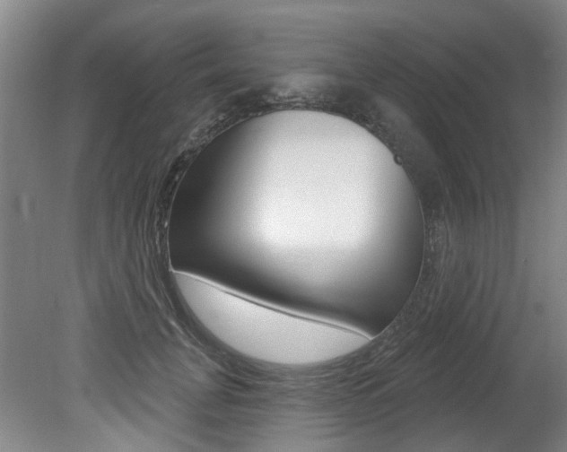 X0000079330751200611170956