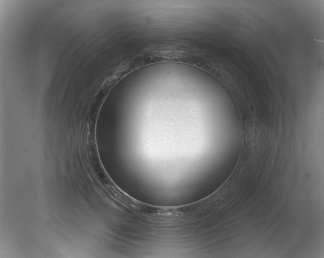 X0000079330752200611170956