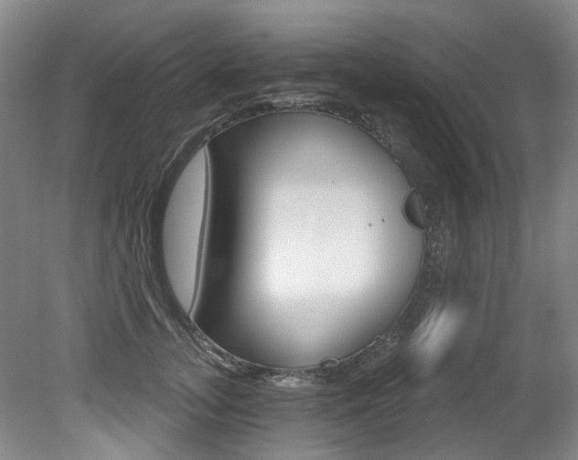 X0000079330755200611170956