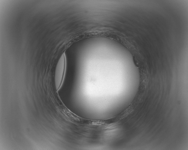 X0000079330758200611170956