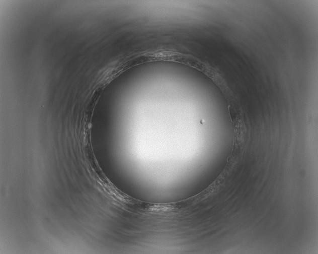 X0000079330762200611170956