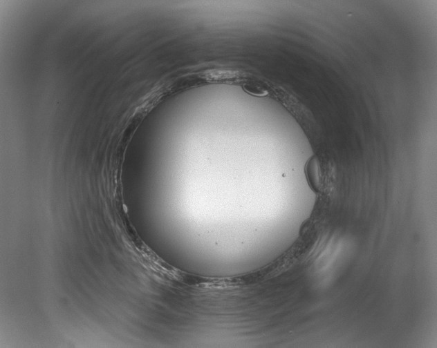 X0000079330763200611170956