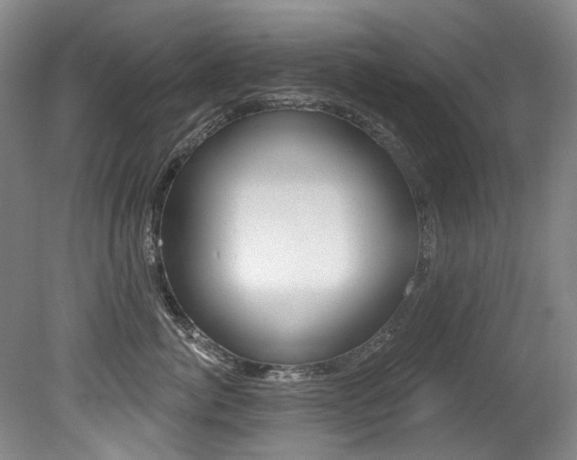 X0000079330764200611170956