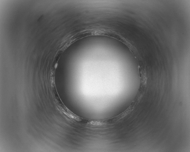 X0000079330766200611170956