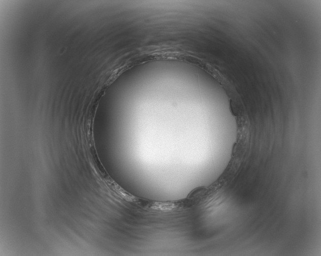 X0000079330767200611170956