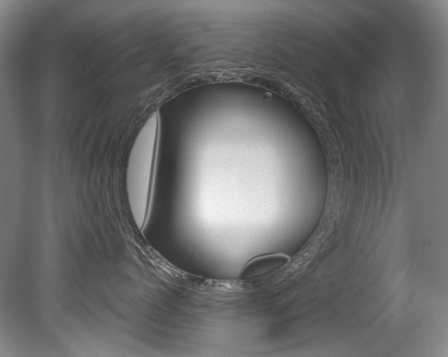 X0000079330768200611170956