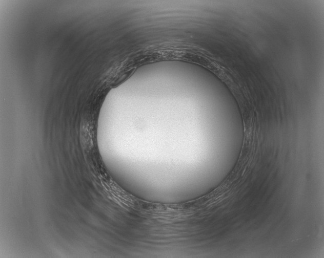 X0000079330772200611170955