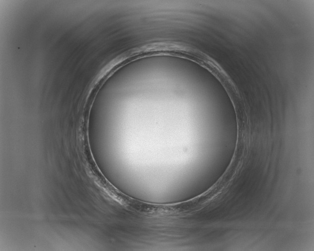 X0000079330786200611170955
