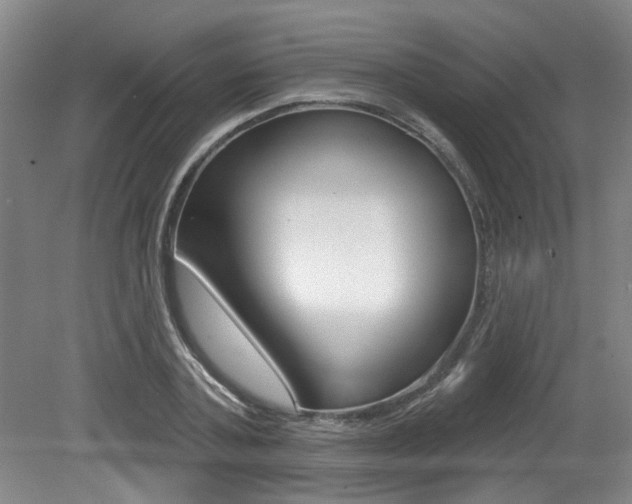 X0000079330787200611170955