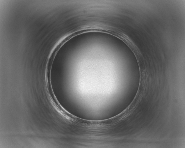 X0000079330788200611170955