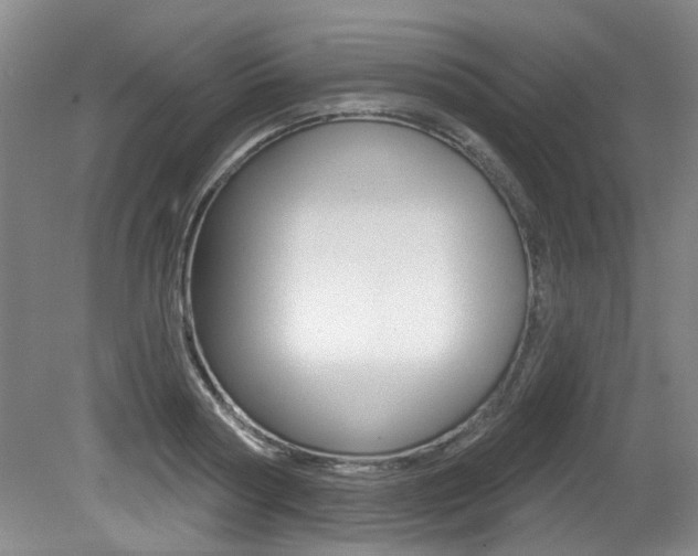 X0000079330794200611170955