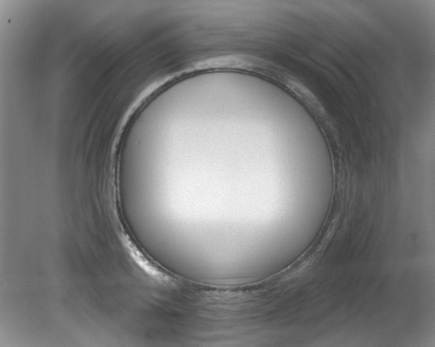 X0000079330800200611170955