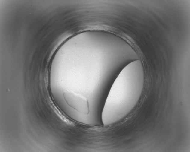 X0000079330804200611170955