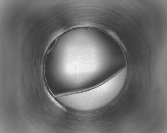 X0000079330805200611170955