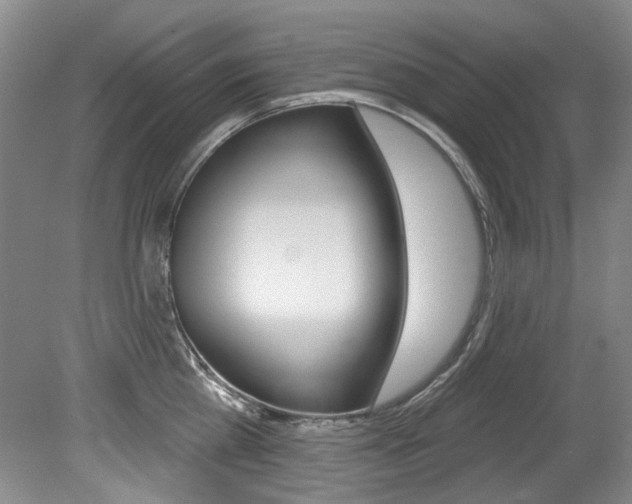 X0000079330809200611170955