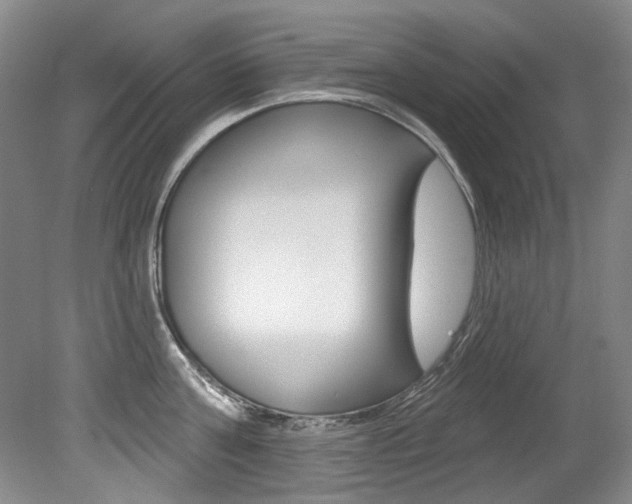 X0000079330811200611170955