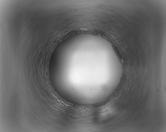 X0000079330817200611170954